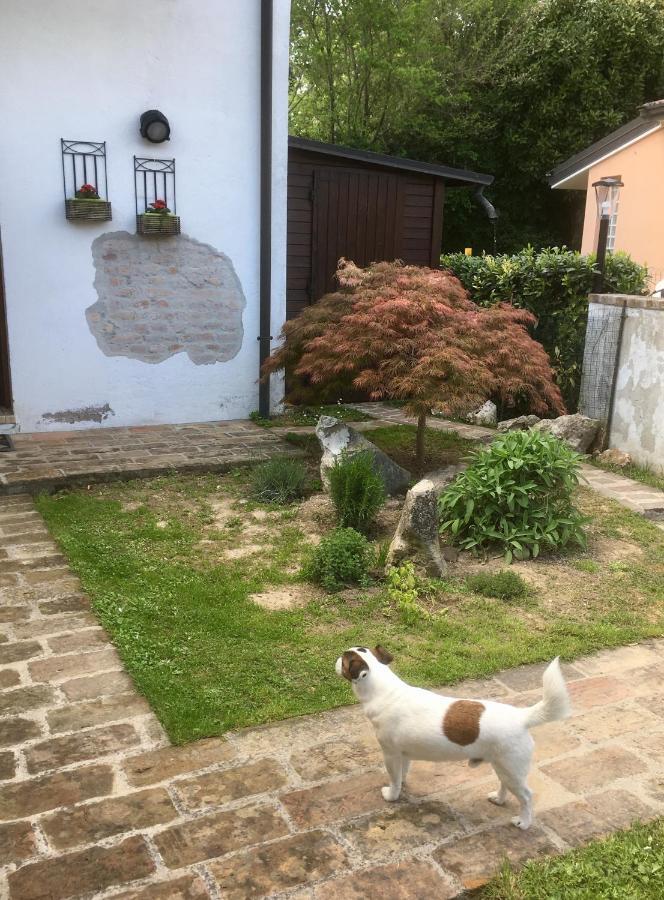 La Casa Di Petali E Seta * Padova